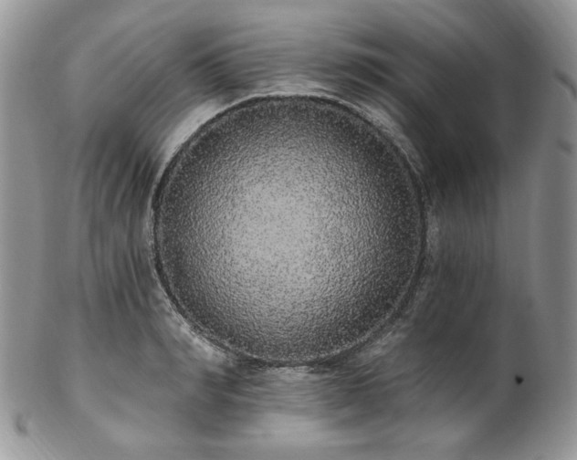 X0000102810990200808181219