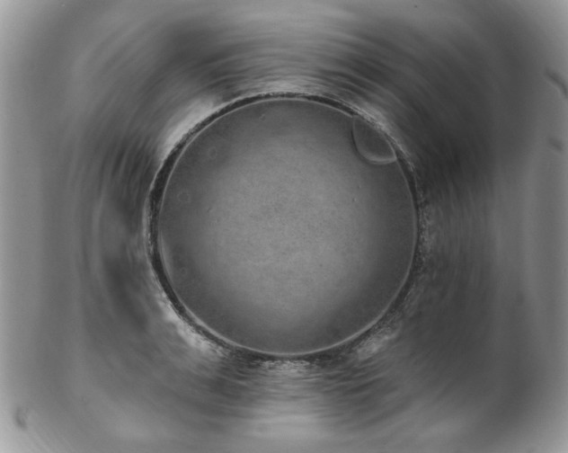 X0000102810991200808181219