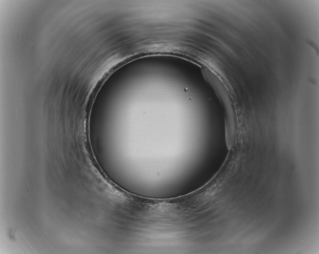 X0000102810992200808181219