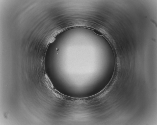 X0000102810993200808181219