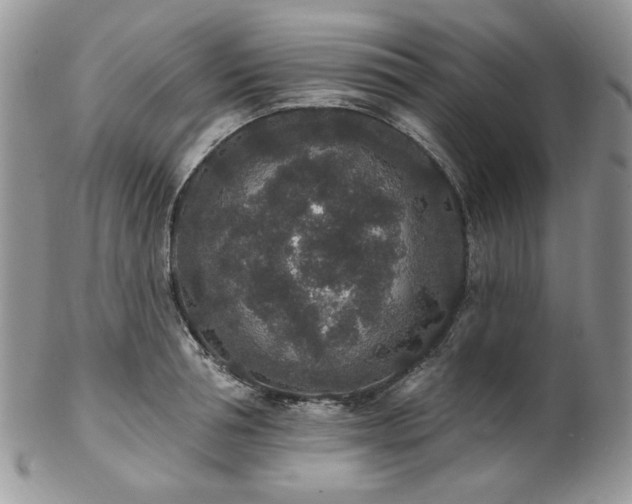 X0000102810994200808181219