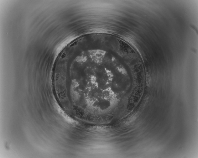 X0000102810995200808181219