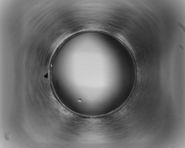 X0000102810996200808181219