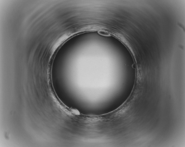 X0000102810997200808181219