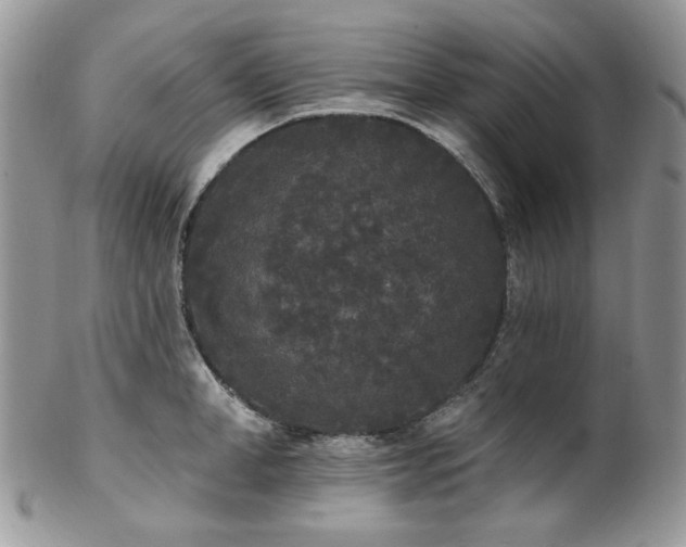 X0000102810998200808181219