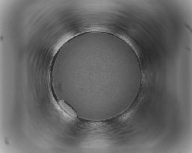 X0000102810999200808181219