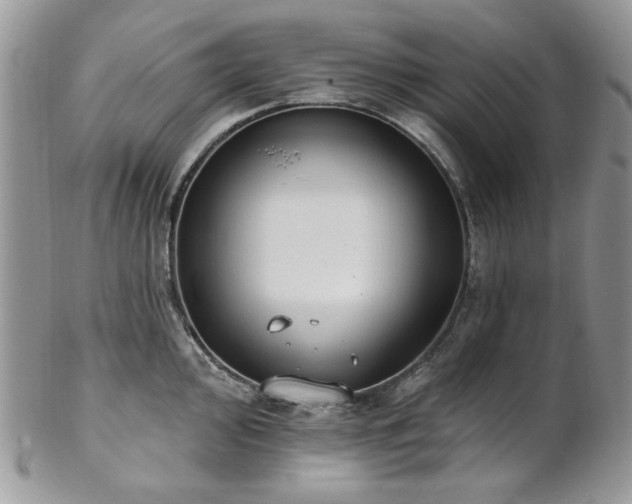 X0000102811000200808181219