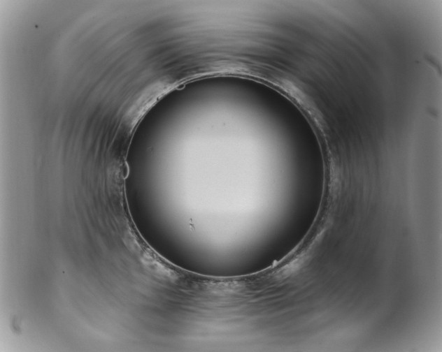 X0000102811001200808181219