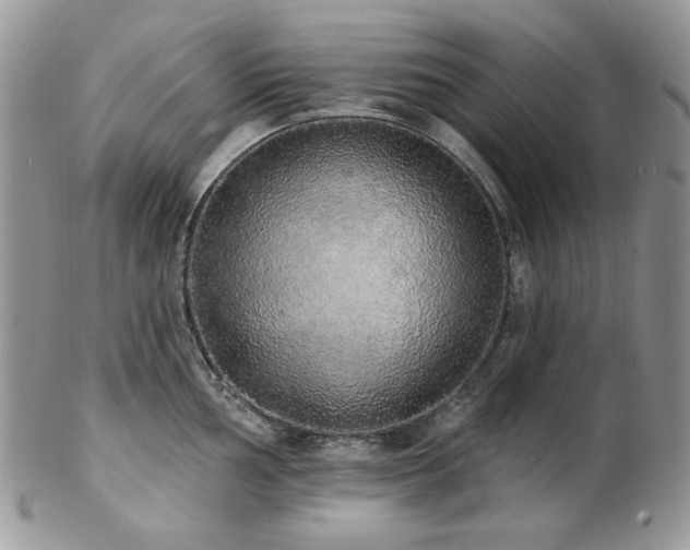 X0000102811002200808181219