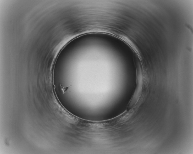 X0000102811004200808181219