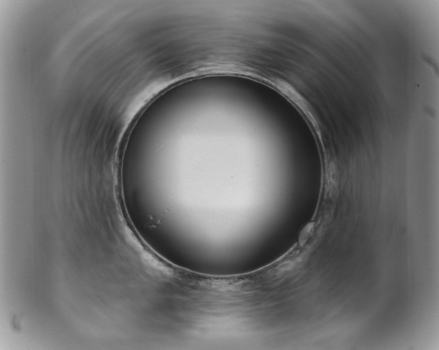 X0000102811005200808181219