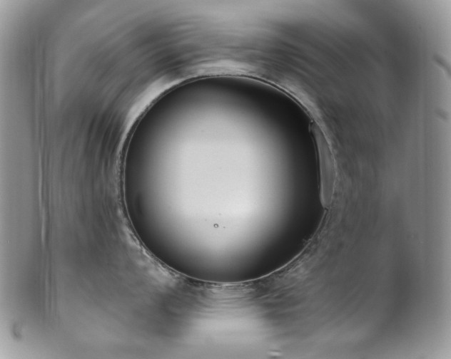 X0000102811008200808181219