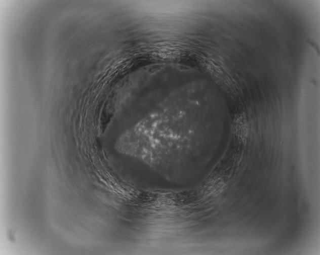 X0000102811009200808181218