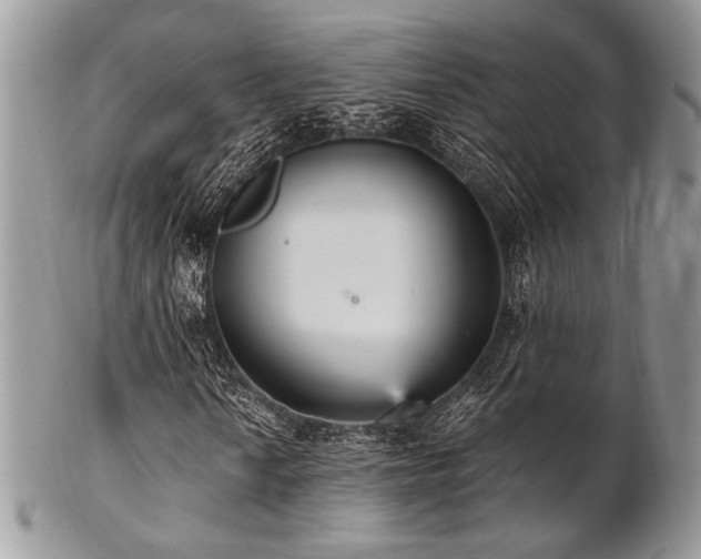 X0000102811010200808181218