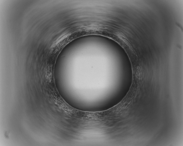 X0000102811015200808181218