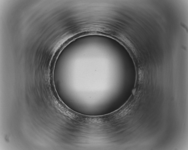 X0000102811020200808181218