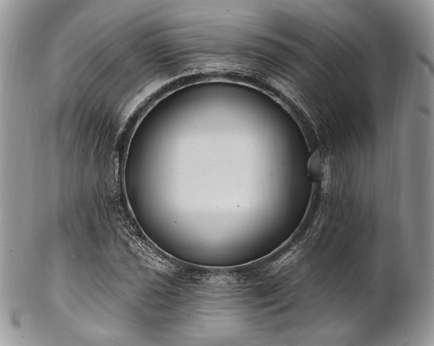 X0000102811021200808181218