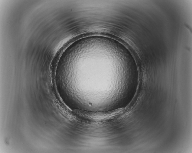 X0000102811022200808181218