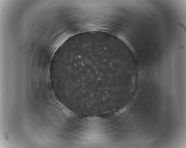 X0000102811023200808181218