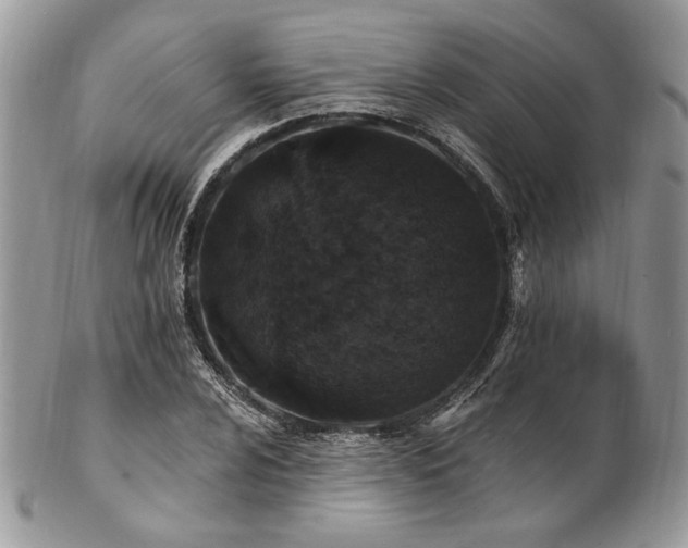 X0000102811024200808181218