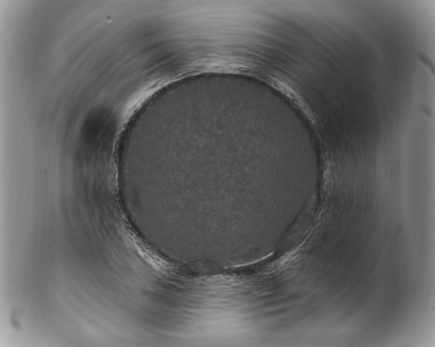 X0000102811027200808181218