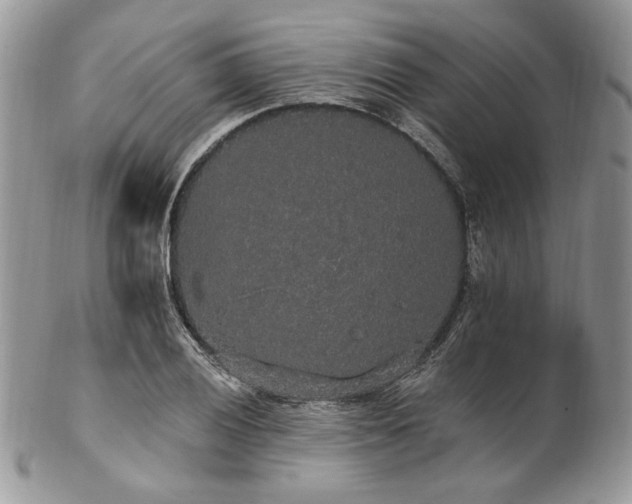 X0000102811028200808181218