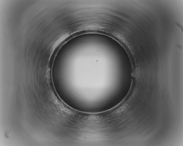 X0000102811029200808181218