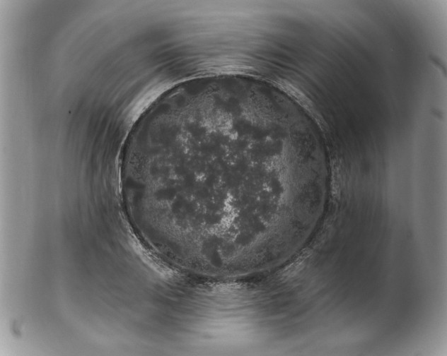 X0000102811031200808181219