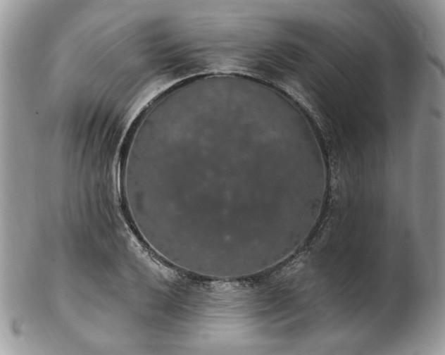 X0000102811032200808181219