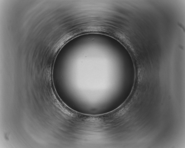 X0000102811033200808181219