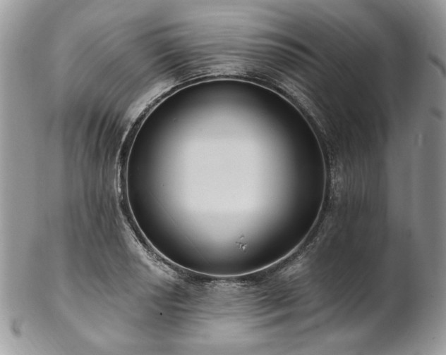 X0000102811034200808181219