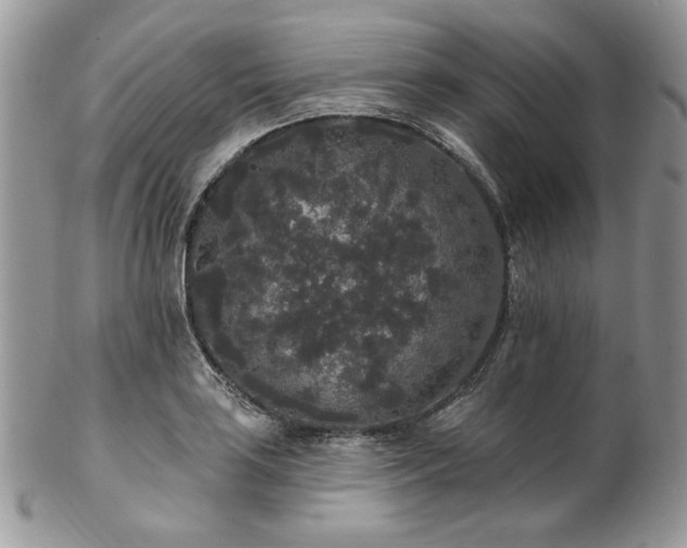 X0000102811035200808181219