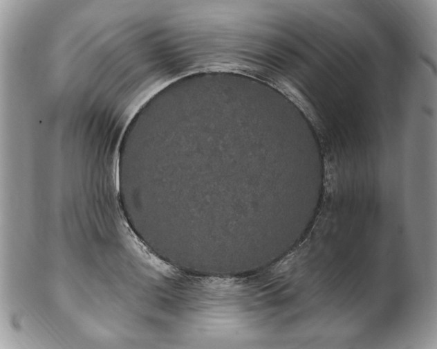 X0000102811036200808181219