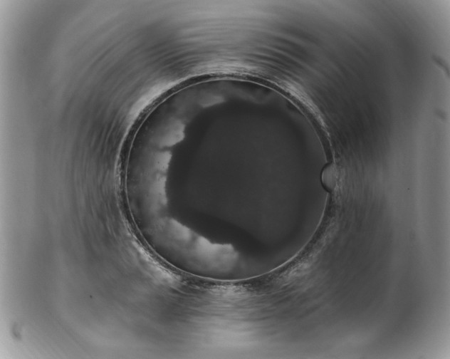 X0000102811037200808181219