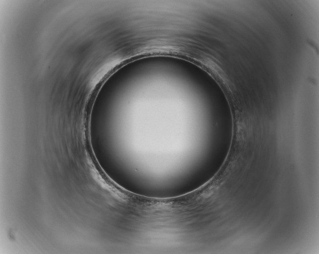 X0000102811038200808181219