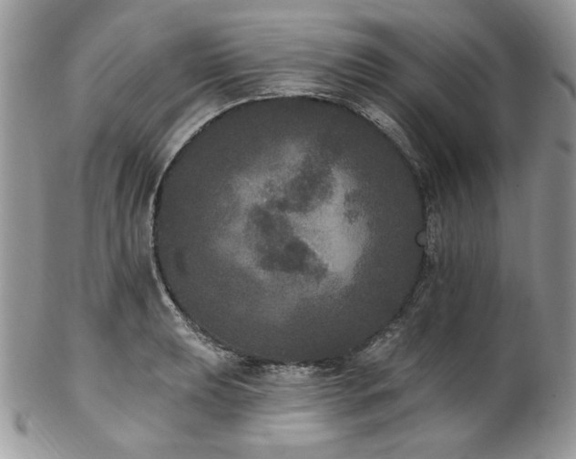 X0000102811039200808181219