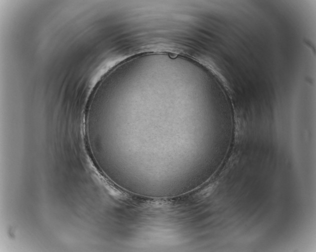 X0000102811040200808181219