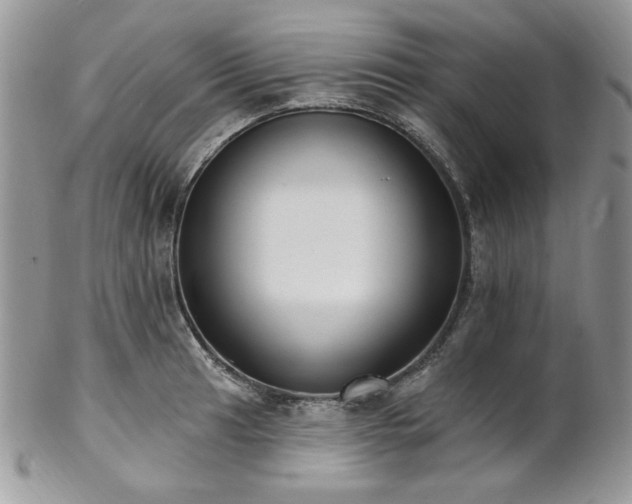 X0000102811041200808181219