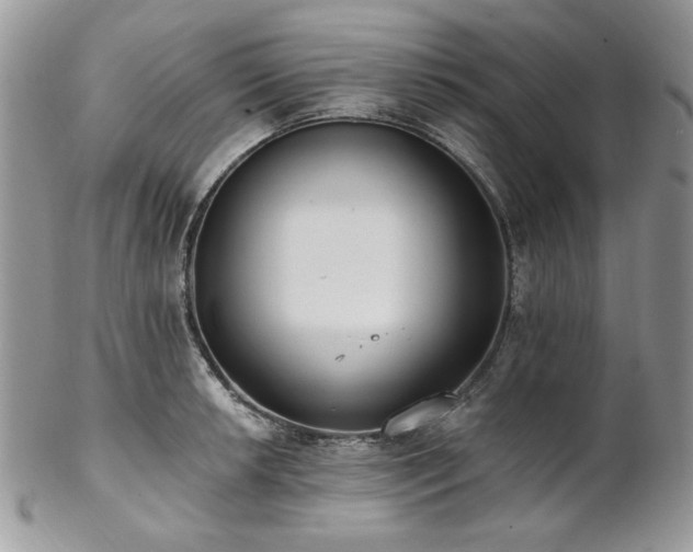 X0000102811042200808181219