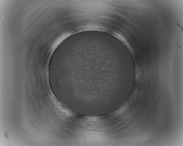 X0000102811043200808181219