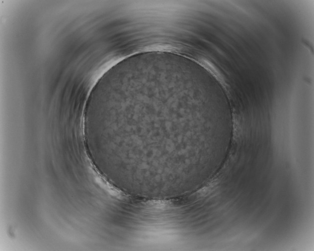 X0000102811044200808181219