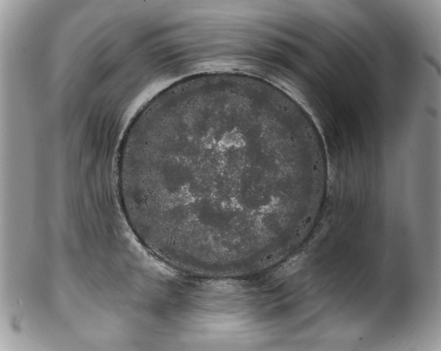 X0000102811045200808181219