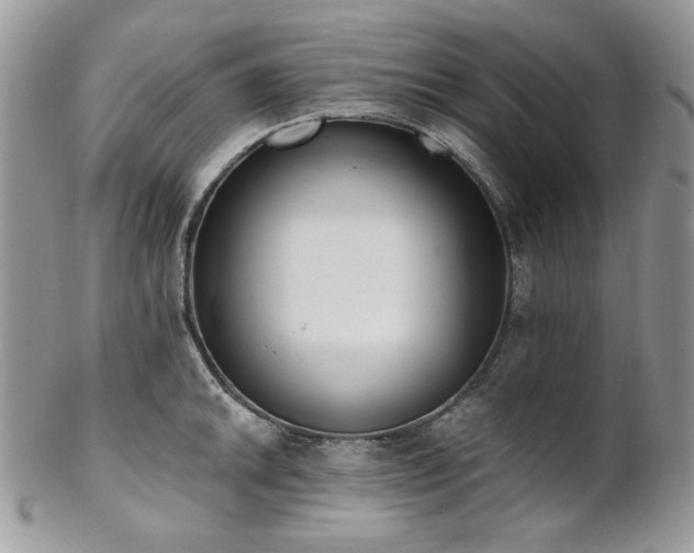 X0000102811046200808181219