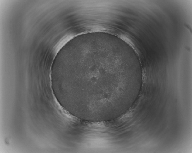 X0000102811047200808181219