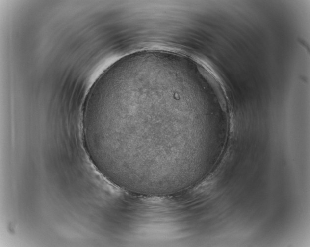 X0000102811048200808181219