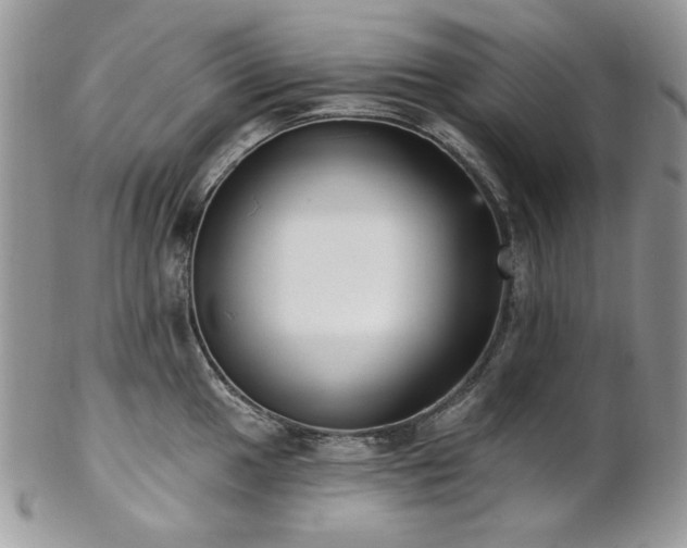 X0000102811049200808181219