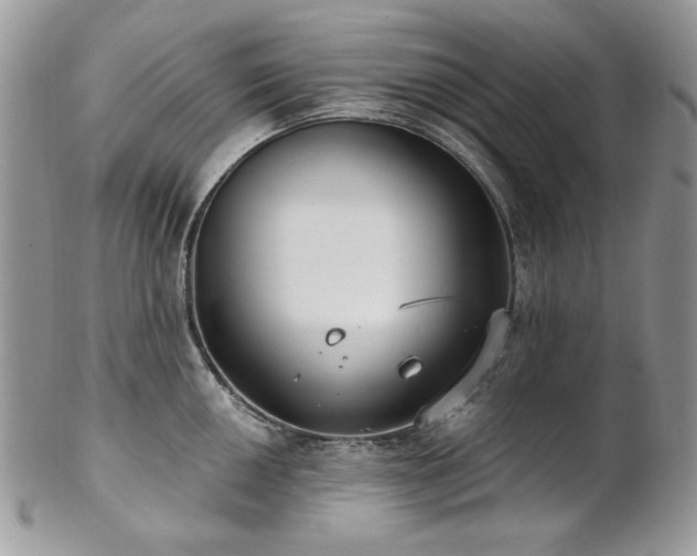 X0000102811050200808181219