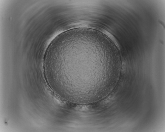 X0000102811051200808181219