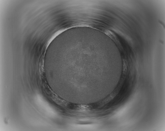 X0000102811052200808181219