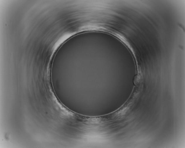 X0000102811053200808181219